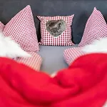 شقة Alpensonne اوبرستدورف